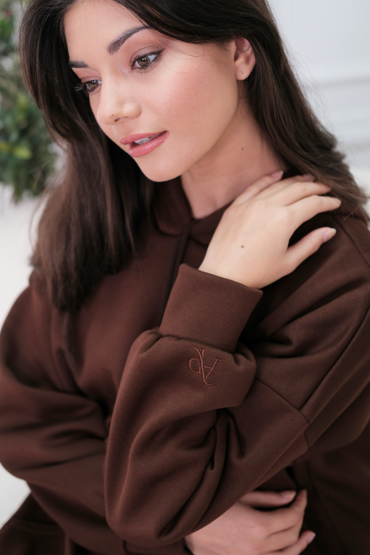 Signature Brown Hoodie Dress